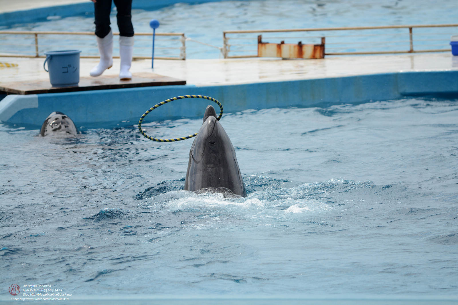 DSC_3058.jpg